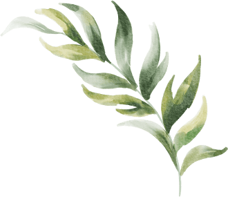 leaf 1 1